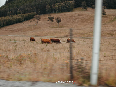 The Scottish Highland Drive 2024   Dag 2 048